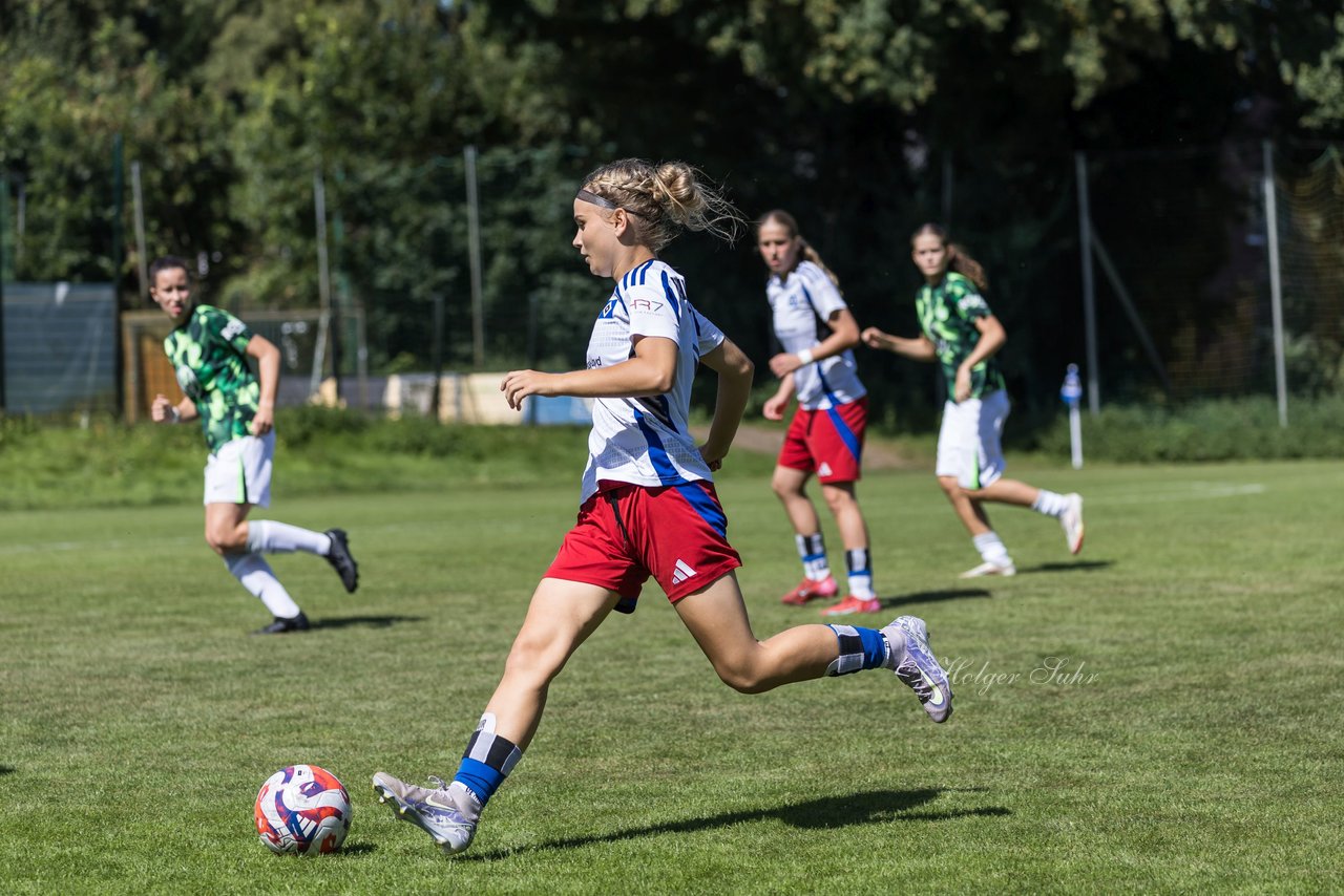 Bild 62 - wBJ Hamburger SV - VfL Wolfsburg : Ergebnis: 5:1